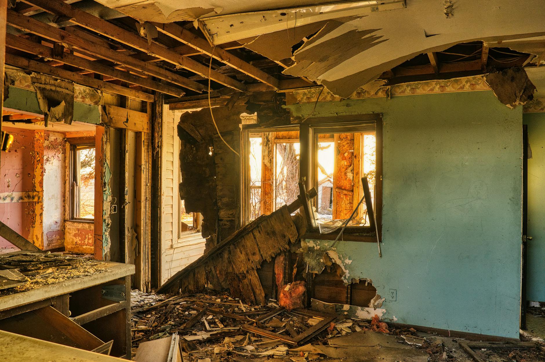 Mold Removal Mold Gallery Largo